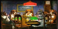 Dogs Playing Poker Photo License Plate