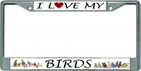 I Love My Birds Chrome License Plate Frame