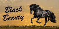 Black Beauty Horse Photo License Plate