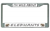 I'm Wild About Elephants Chrome License Plate Frame