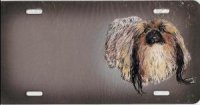 Pomeranian Airbrush License Plate