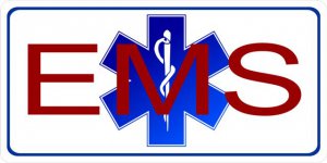 EMS Photo License Plate
