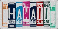 Hawaii Cut Style Metal License Plate