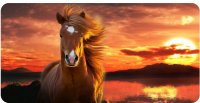 Horse And Sunset Photo License Plate