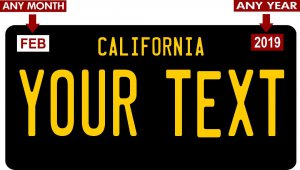Custom State Personalized Novelty Photo License Plate