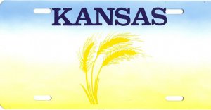 Design It Yourself Custom Kansas State Look-Alike Plate #5