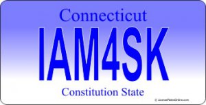 Design It Yourself Connecticut State Look-Alike Bicycle Plate