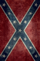 Confederate Rebel Flag Parking Sign