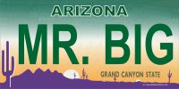 Arizona MR. BIG Photo License Plate