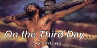On The Third Day … Gratitude Photo License Plate