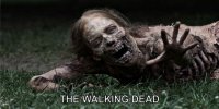 The Walking Dead Photo License Plate