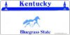 Kentucky License Plates & Frames