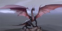 Dragon Perched On Rock Photo License Plate