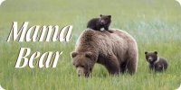 Mama Bear Photo License Plate