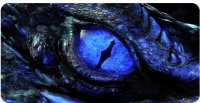 Blue Dragon Eye Photo License Plate
