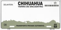 Chihuahua Mexico Look A Like Metal License Plate