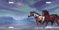 Two Horses by Ocean License Plate