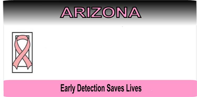 Arizona State Look a Like with Pink Ribbon PLATE   All wording is Free