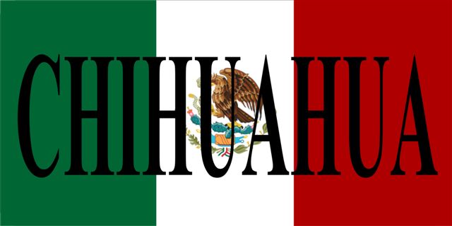 Mexico Chihuahua Photo LICENSE PLATE Free Personalization on this PLATE