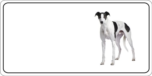 Greyhound Dog Photo LICENSE PLATE Free Personalization on this PLATE