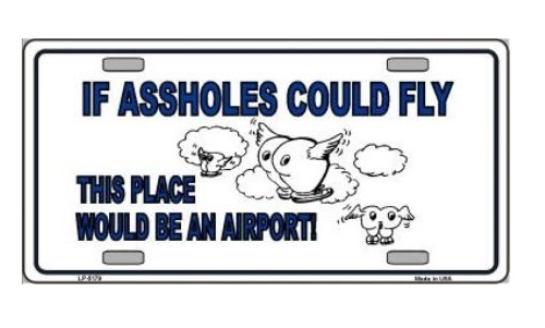 If Assholes Could Fly Metal LICENSE PLATE