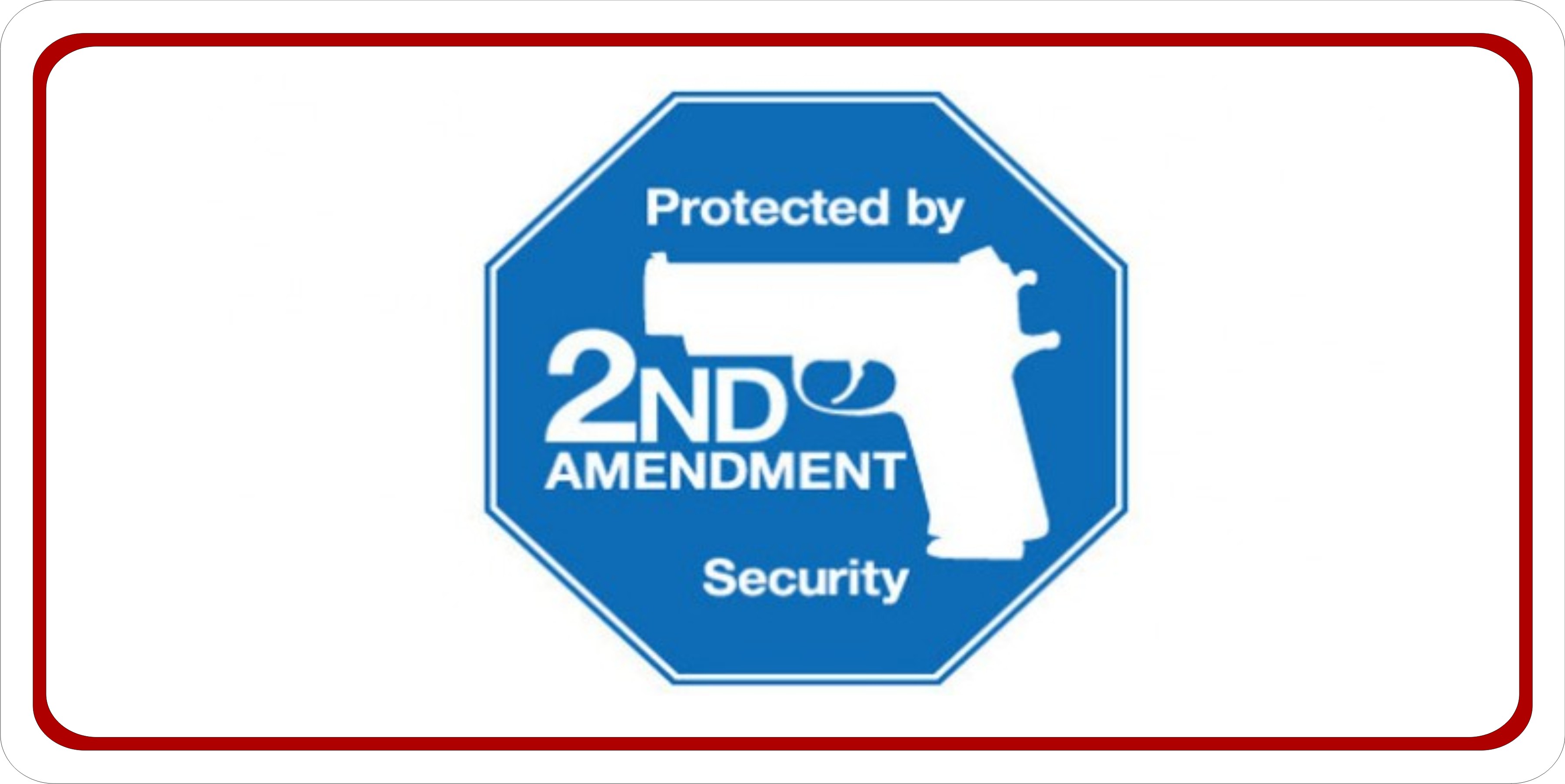 Protected By 2nd Amendment Security PLATE