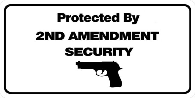 Protected By 2nd Amendment Photo LICENSE PLATE