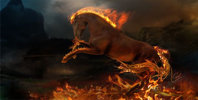 Flaming Horse Photo LICENSE PLATE Free