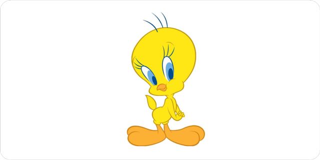 Tweety Bird Photo LICENSE PLATE  Free Personalization on this PLATE