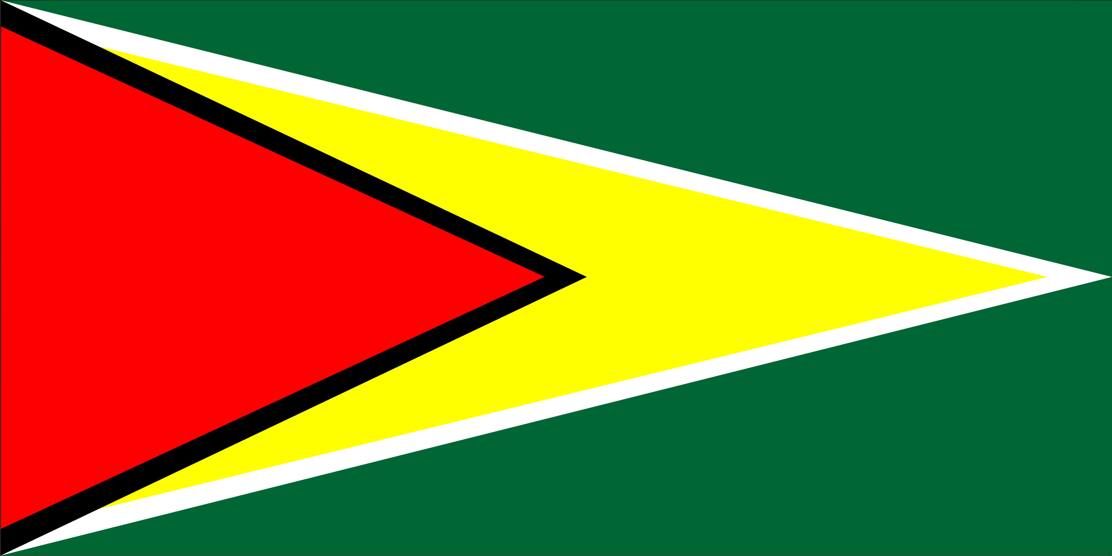 Guyana Flag Photo LICENSE PLATE Free Personalization on this PLATE