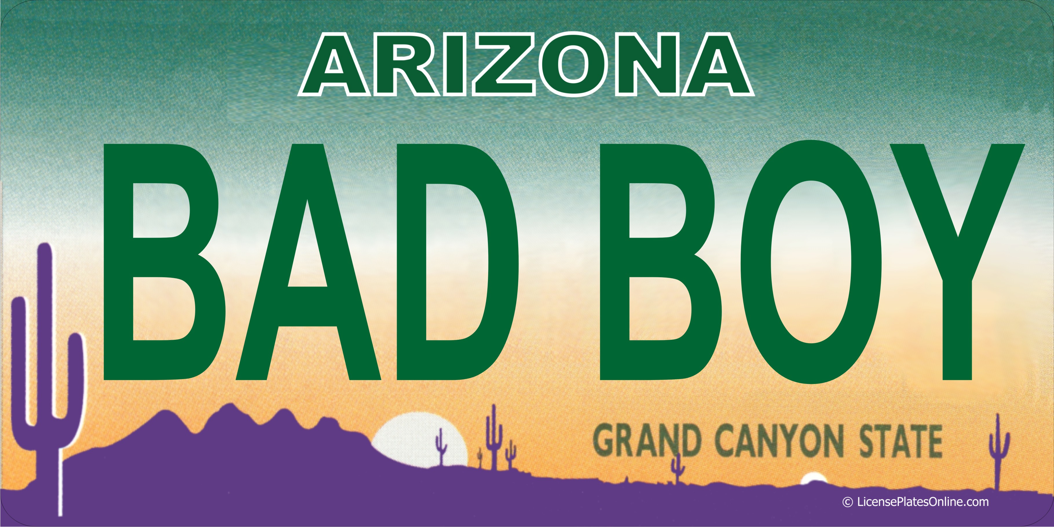 Arizona BAD BOY Photo LICENSE PLATE  Free Personalization on this PLATE