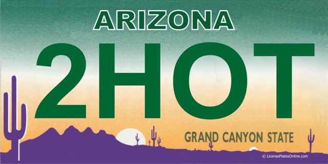 Arizona 2HOT Photo LICENSE PLATE  Free Personalization on this PLATE