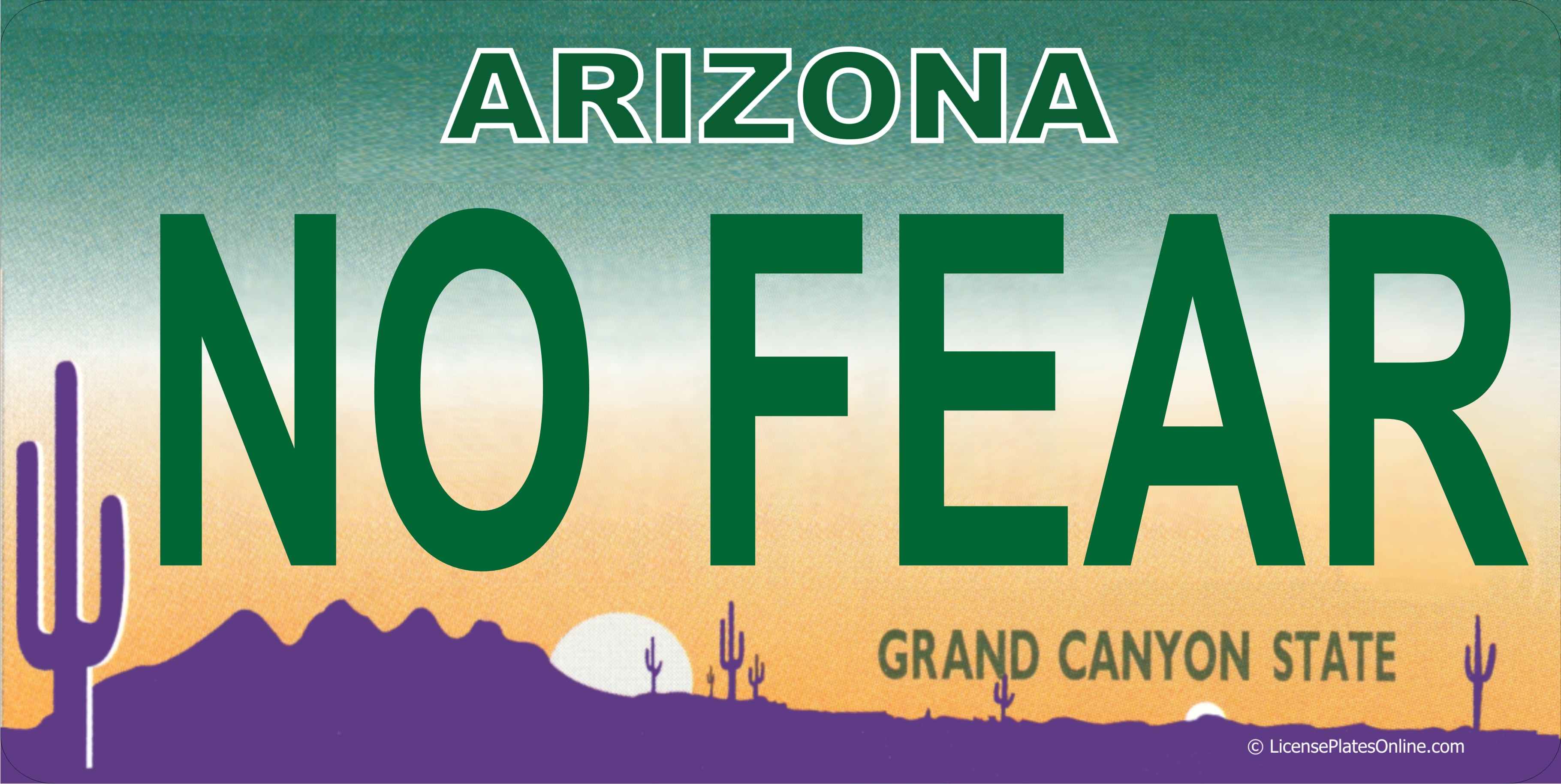 Arizona NO FEAR Photo LICENSE PLATE  Free Personalization on this PLATE