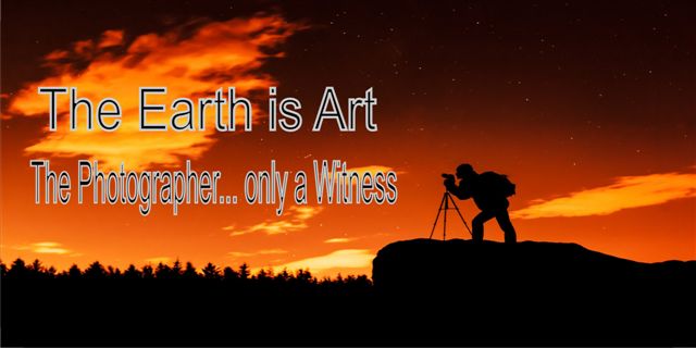 The Earth Is Art... Photo LICENSE PLATE  Free Personalization on this PLATE