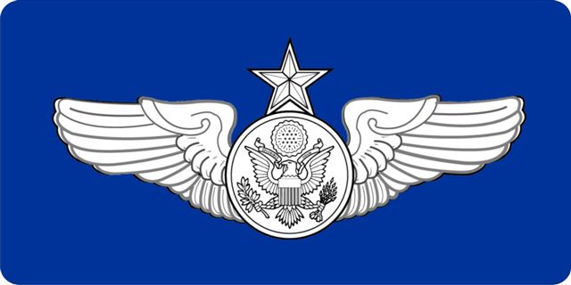 United State Air Force Senior Aircrew Wings PLATE