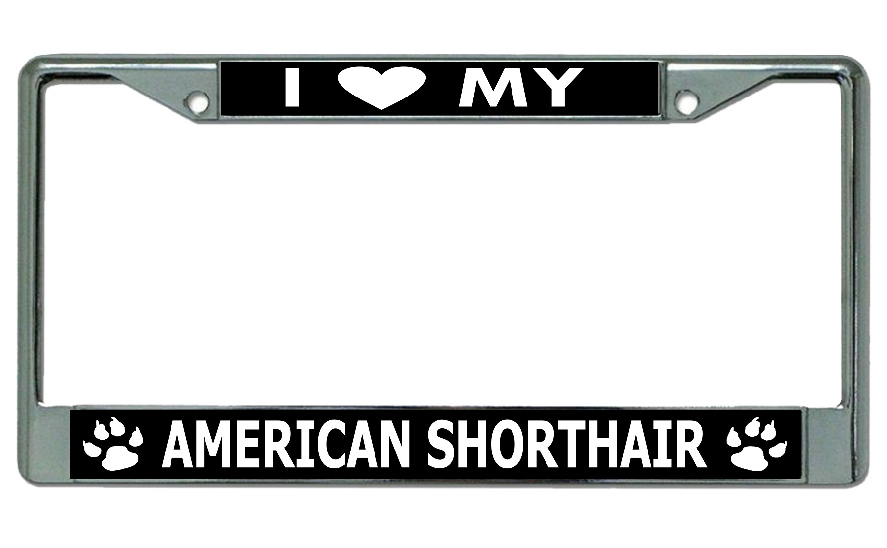 I Love My American Shorthair Cat Chrome License Plate FRAME