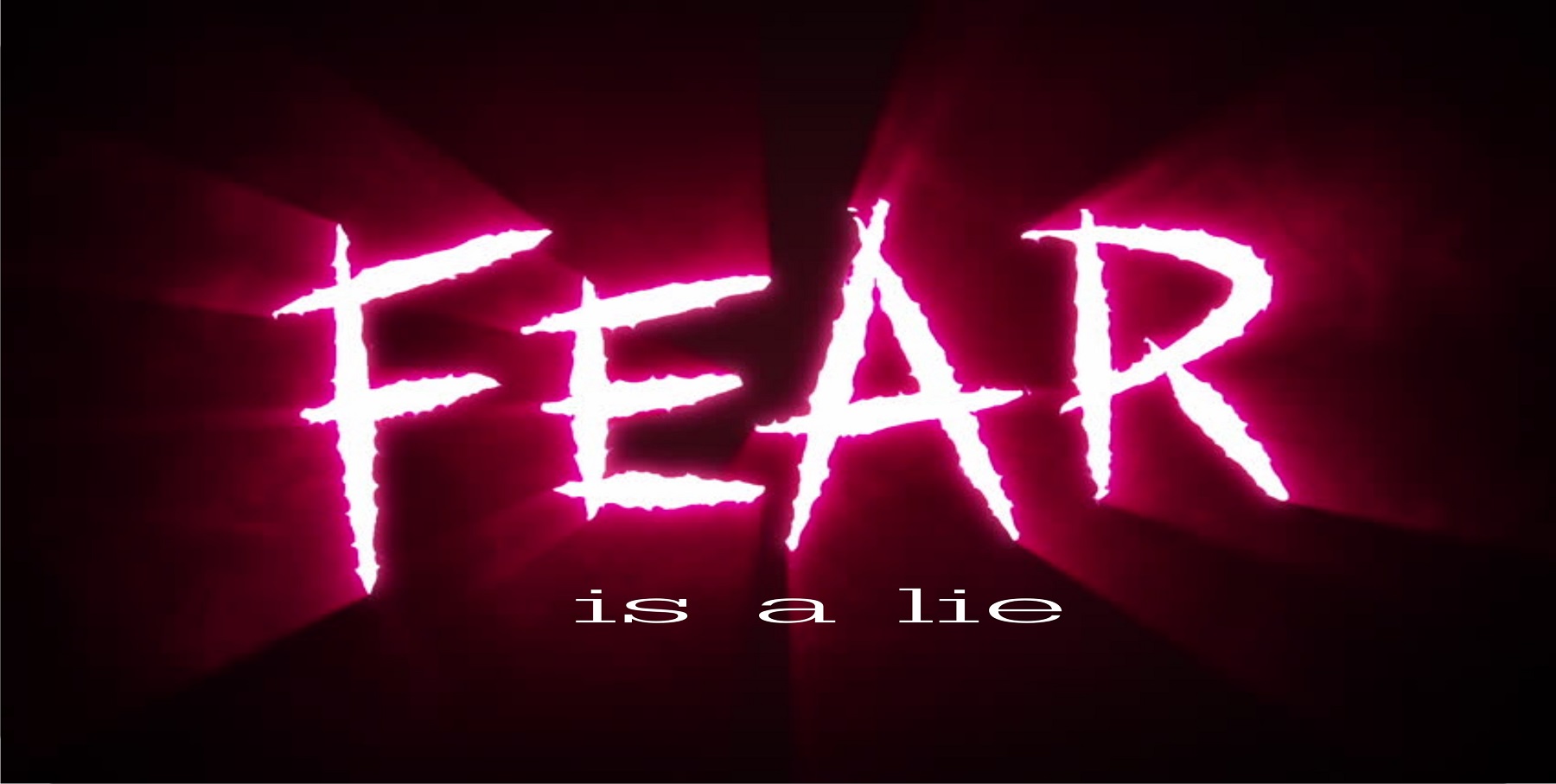Fear Is A Lie Photo LICENSE PLATE