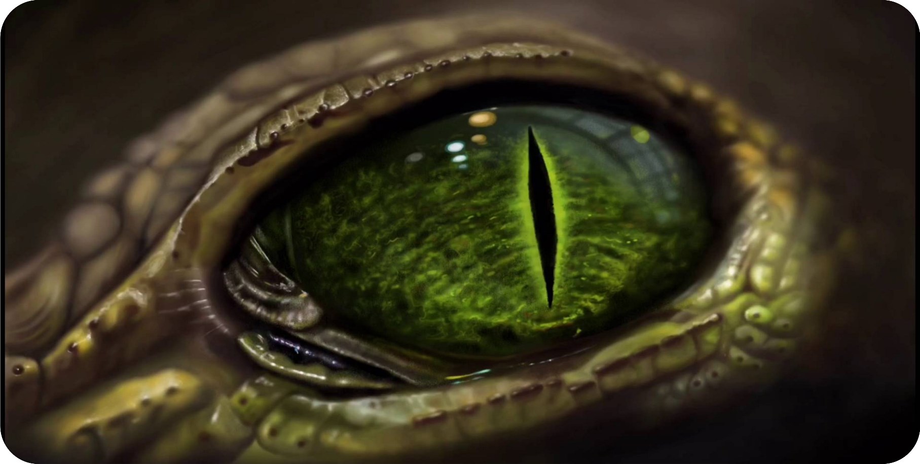 Green Snake Eye Photo LICENSE PLATE