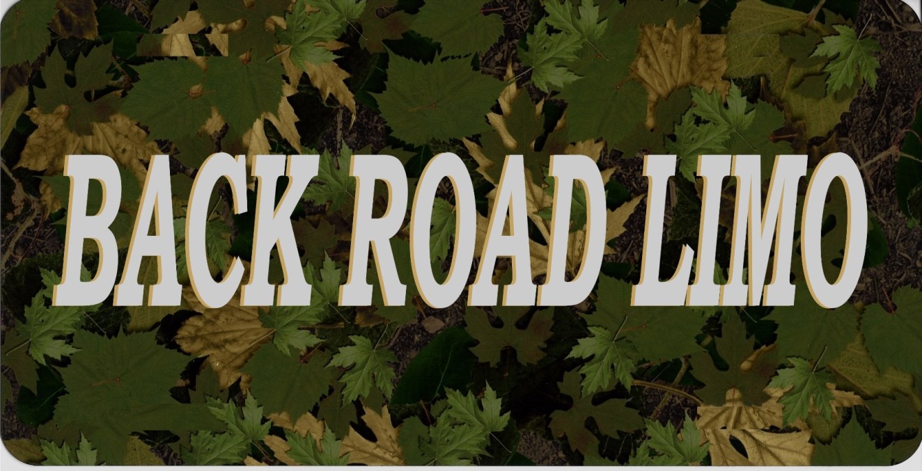 Backroad Limo On Camo Photo LICENSE PLATE