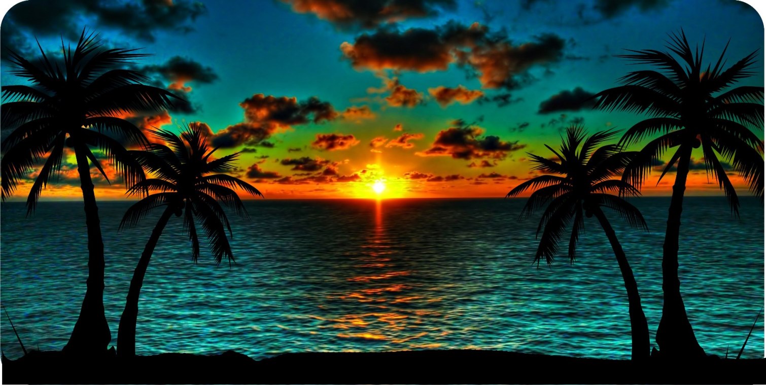 Beach Sunset Photo LICENSE PLATE
