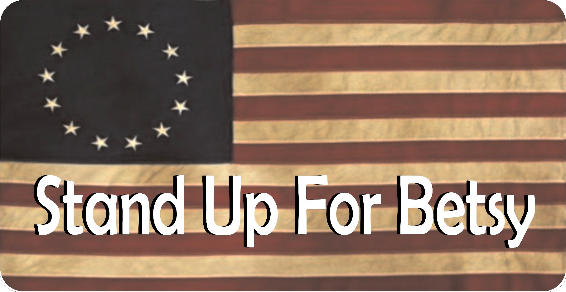Stand Up For Betsy American FLAG Photo License Plate
