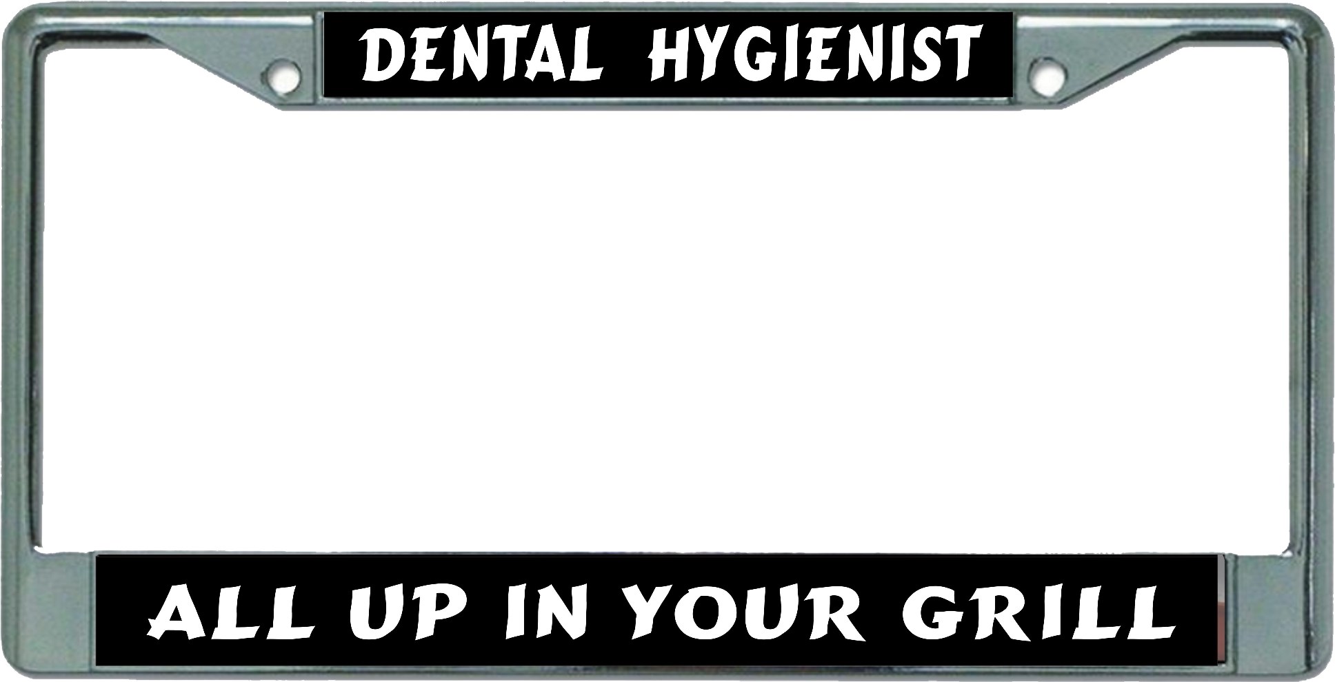 Dental Hygienist Chrome License Plate FRAME