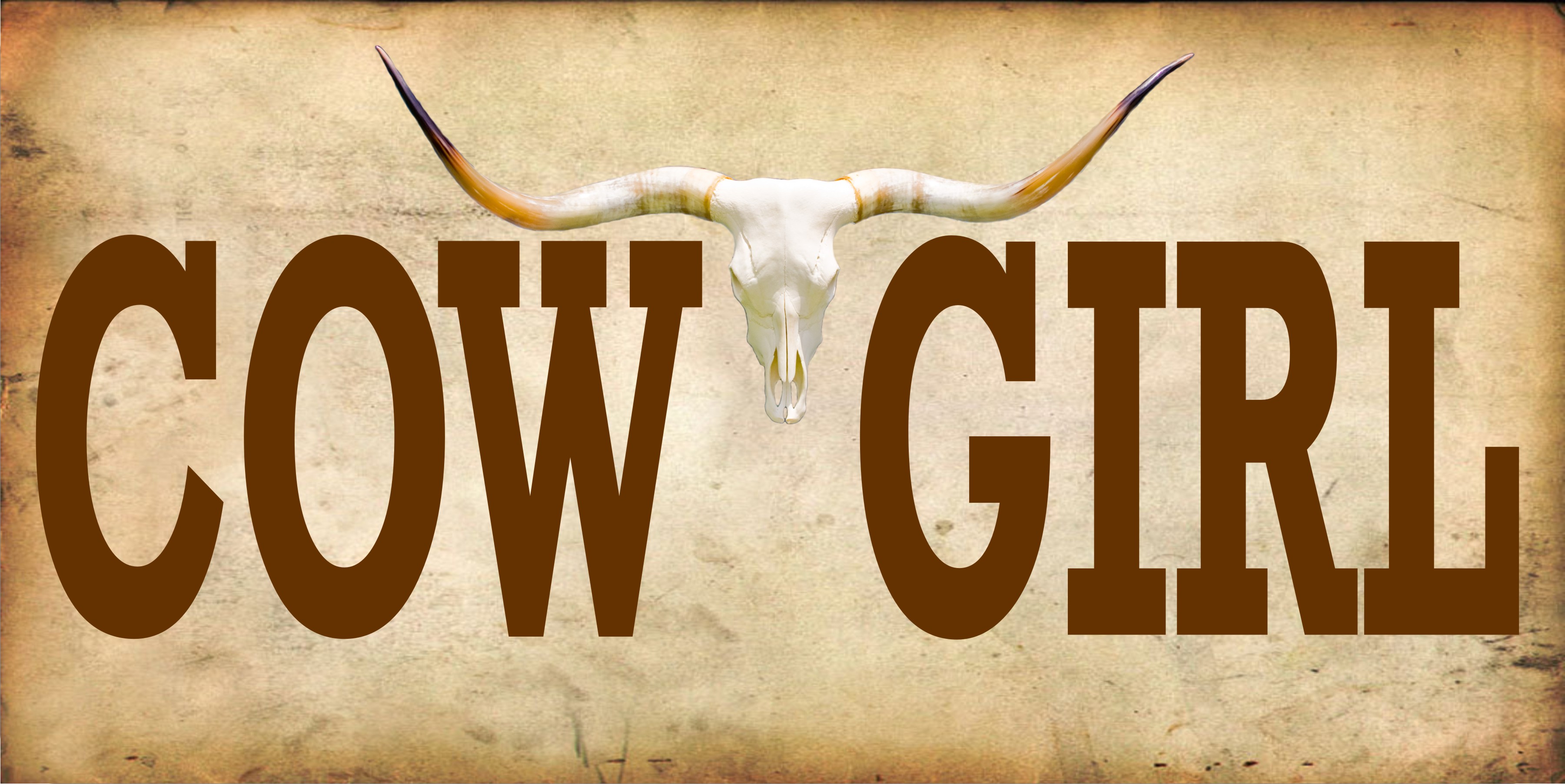 Longhorn Cowgirl Photo License Plate