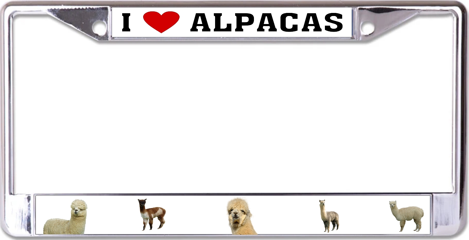 I Love Alpacas Chrome License Plate FRAME