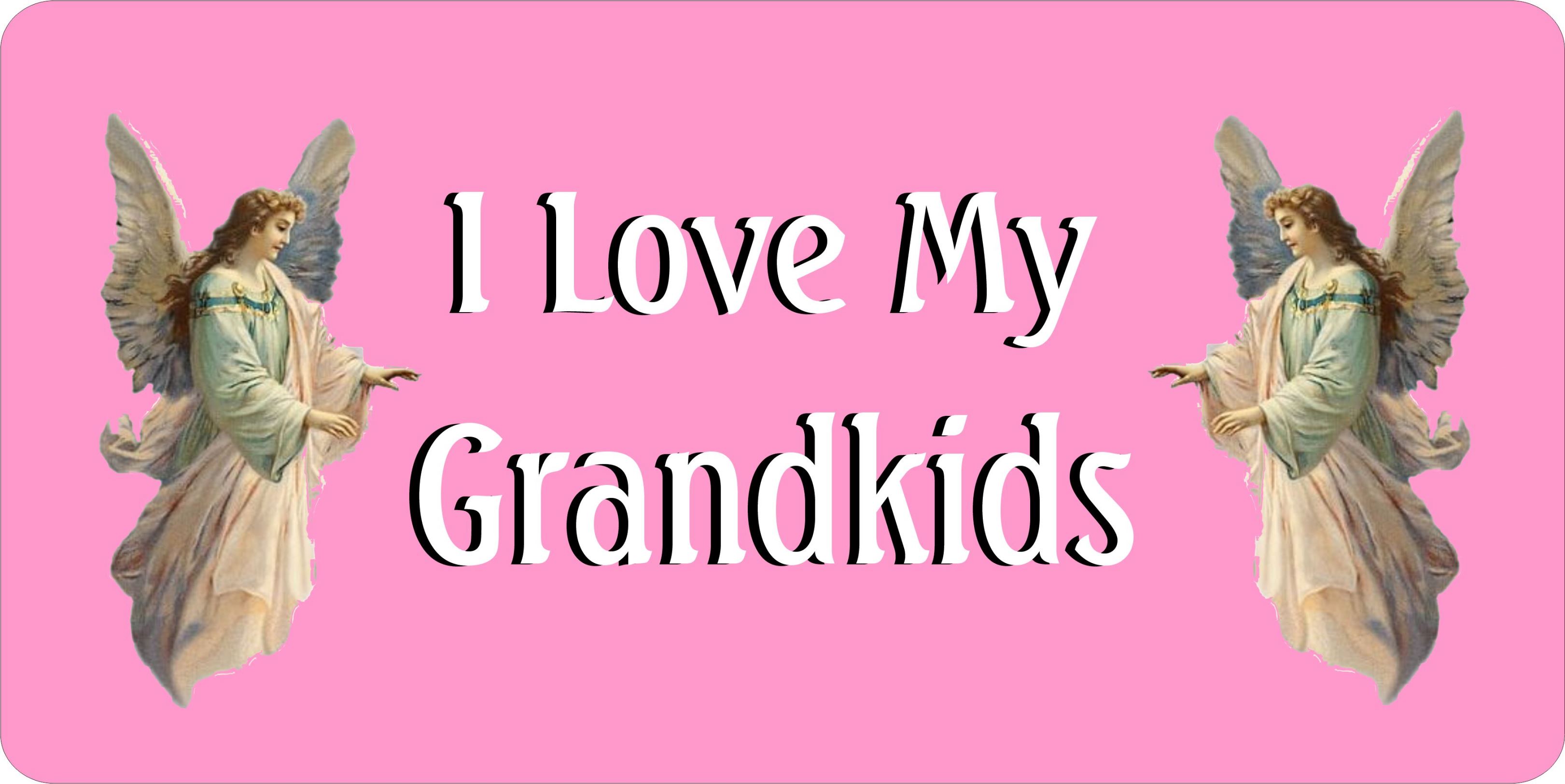 I Love My Grandkids Photo LICENSE PLATE