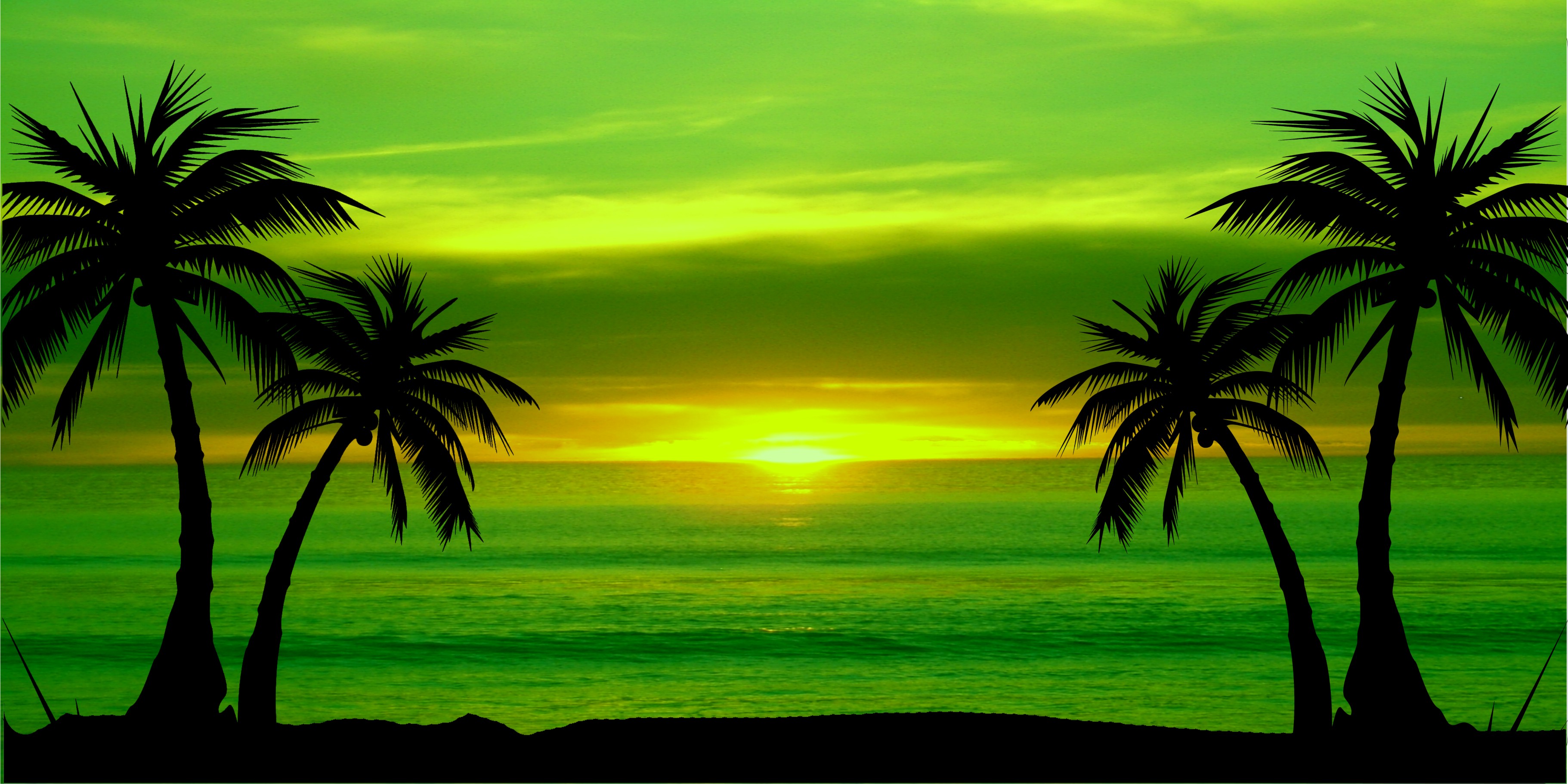 Green Palm Tree Sunset Photo LICENSE PLATE Free Personalization on this PLATE