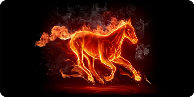 Flaming Horse Photo LICENSE PLATE  Free Personalization on this PLATE