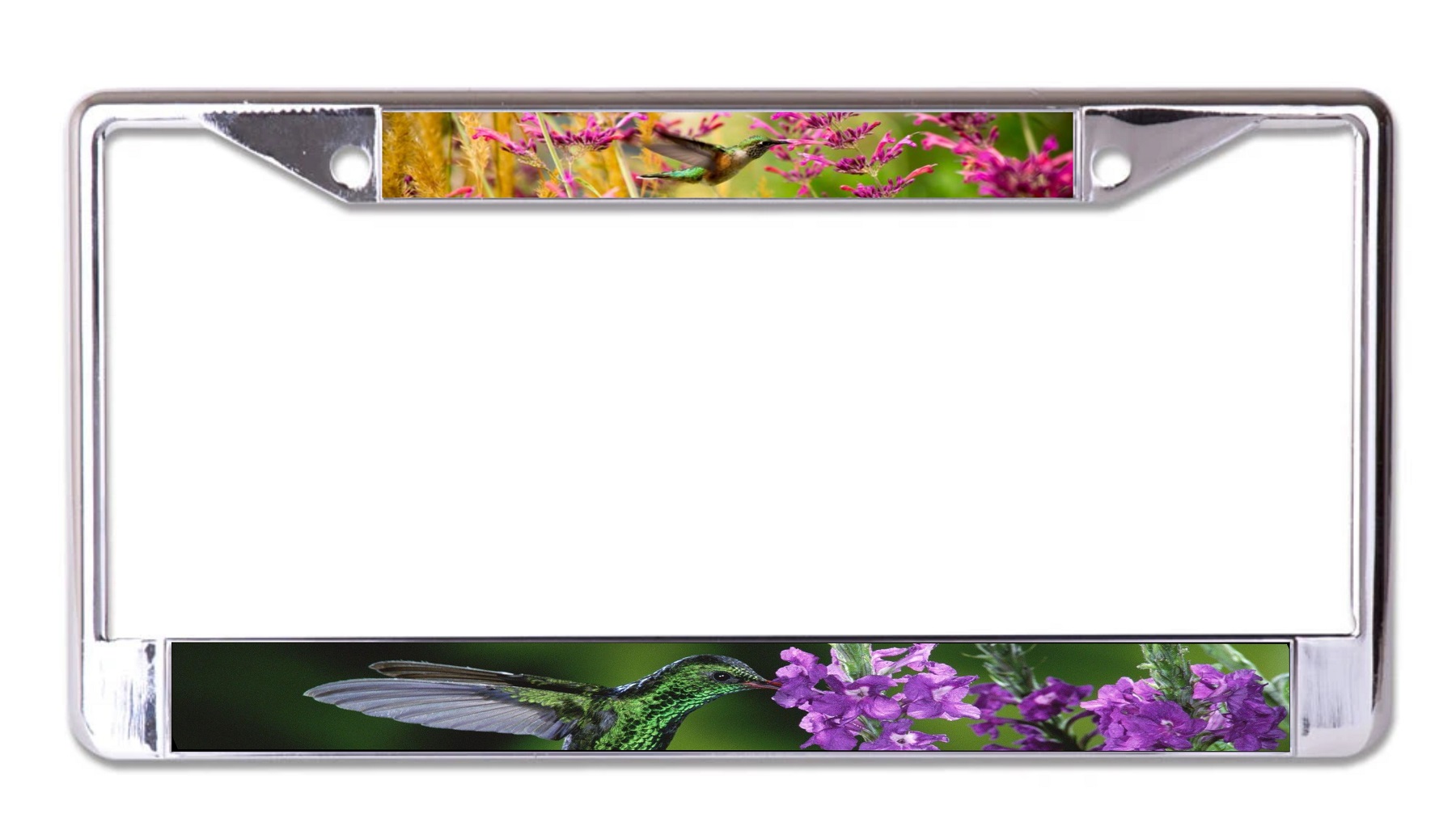 Hummingbirds And FLOWERS Chrome License Plate Frame