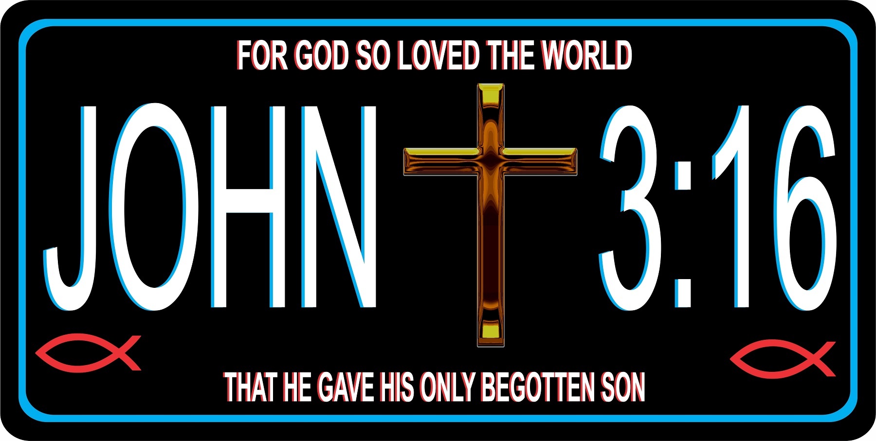 John 3:16 Photo LICENSE PLATE