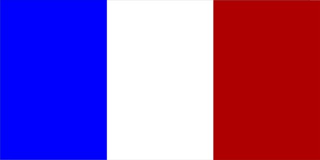 France FLAG Photo License Plate  Free Personalization on this Plate